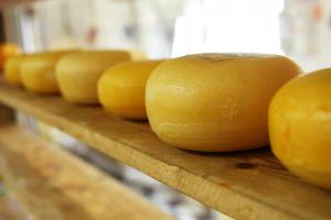 conservacion del queso